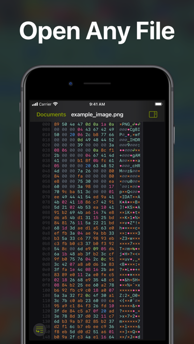 Hexer — Hex File Viewer