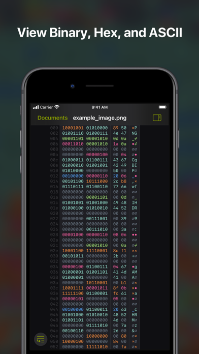 Hexer — Hex File Viewer