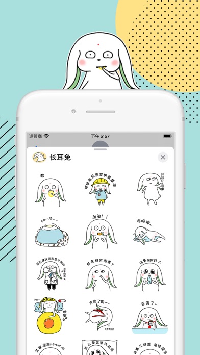 长耳兔的快乐生活