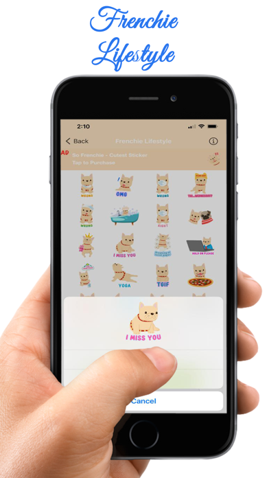 Frenchie Lifestyle & Valentine