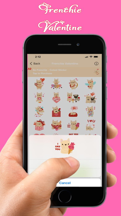 Frenchie Lifestyle & Valentine