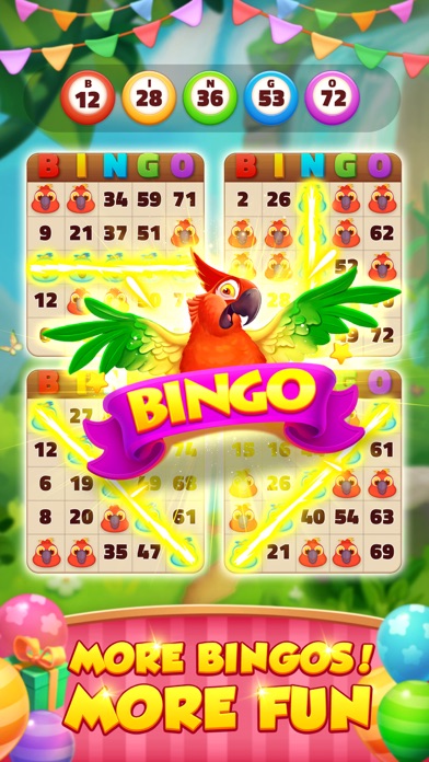 Bingo Island-Fun Family Bingo