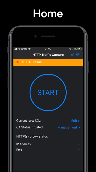Http traffic capture