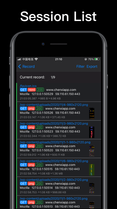 Http traffic capture