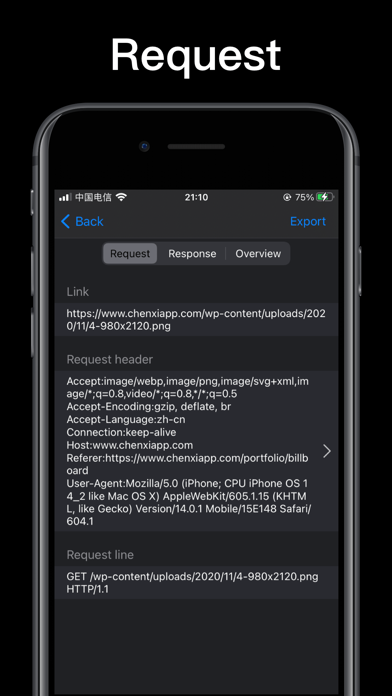 Http traffic capture