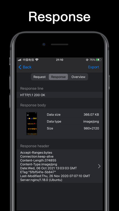 Http traffic capture