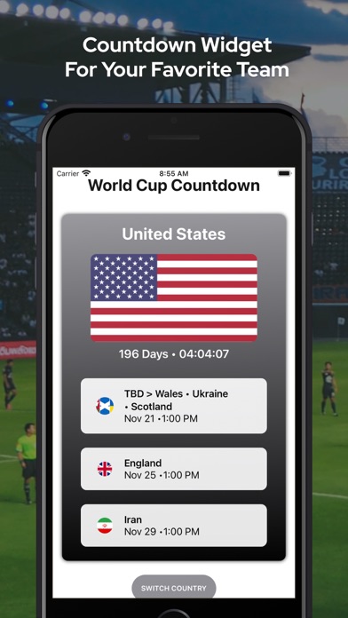 WorldCup Widget