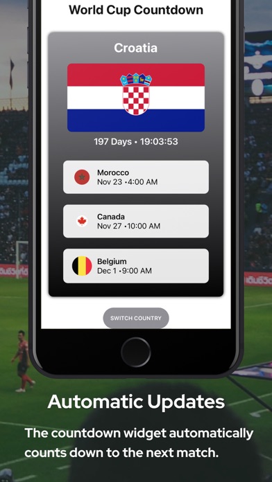 WorldCup Widget