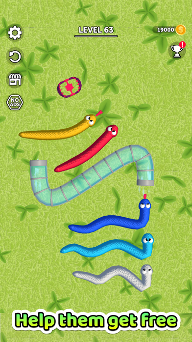 Tangled Snakes