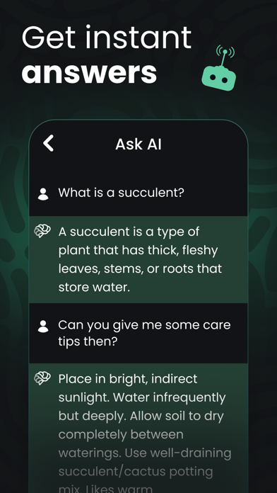 Chat with Ask AI