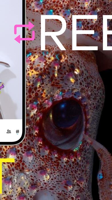 Tumblr – Fandom, Art, Chaos