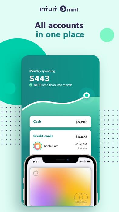 Mint: Budget & Expense Manager