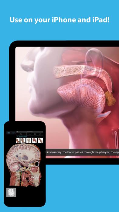 Human Anatomy Atlas 2023