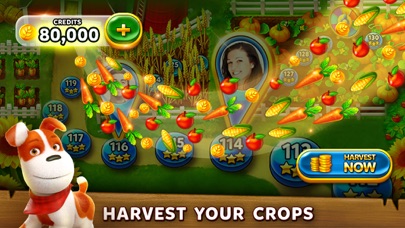 Solitaire Grand Harvest