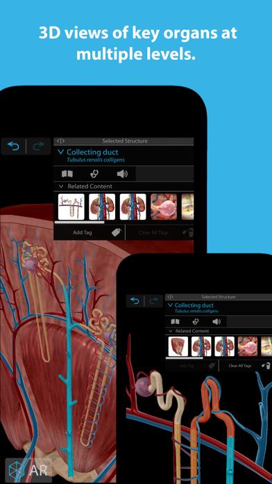 Human Anatomy Atlas 2023