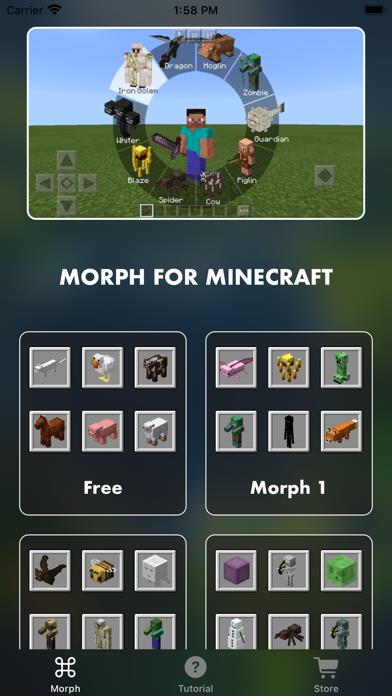 MCPE ADDONS - Morph Mods