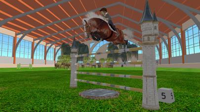 Jumpy Horse Show Jumping