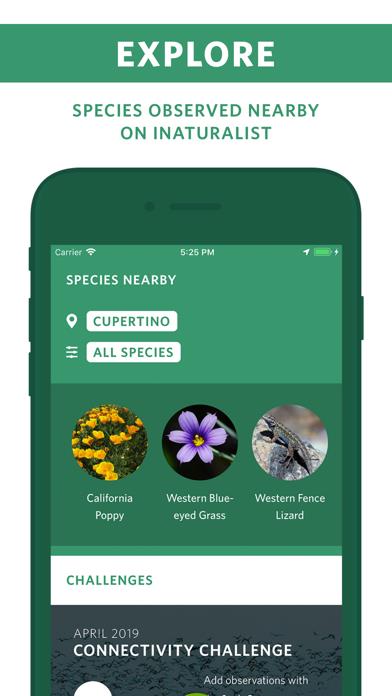 Seek by iNaturalist