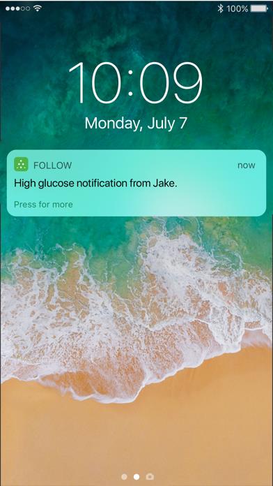 Dexcom Follow