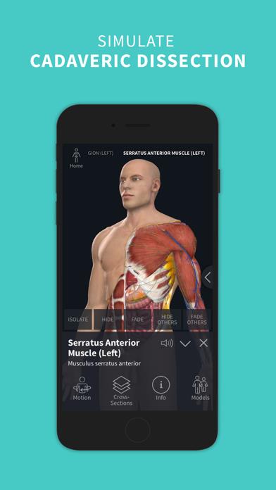Complete Anatomy ‘23