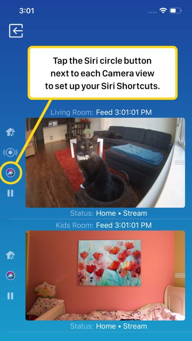 Watch Cam for Nest Cam