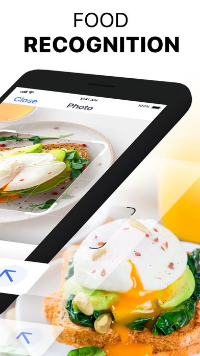 HitMeal - Nutrition Tracker