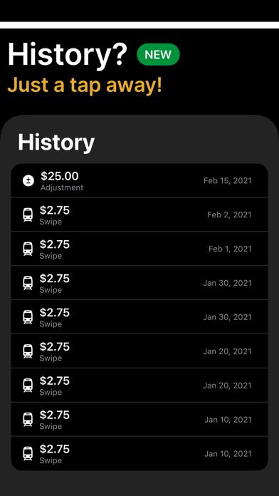 MetroBuddy - Balance Tracker