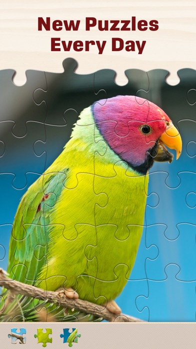 Jigsaw Puzzles for Adults HD