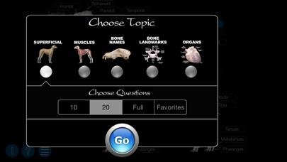 Dog Anatomy: Canine 3D