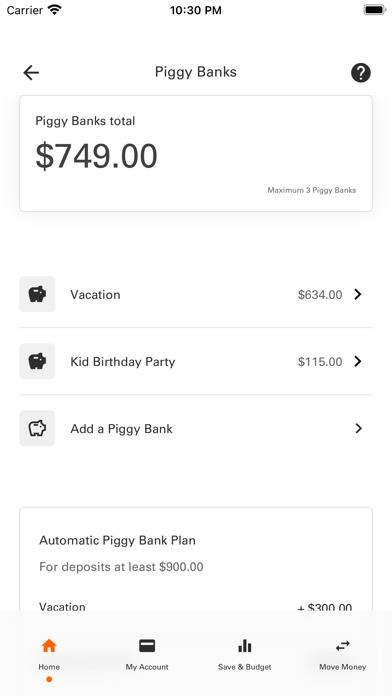 Money Network Mobile App