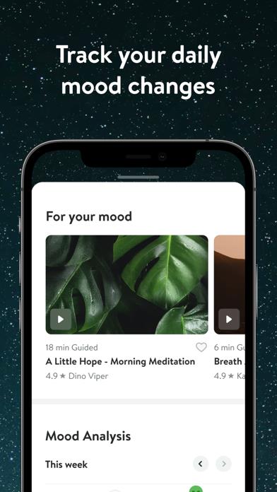 Insight Timer - Meditation App