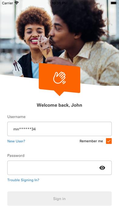 Money Network Mobile App