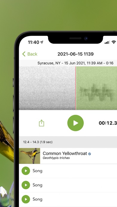 Merlin Bird ID by Cornell Lab
