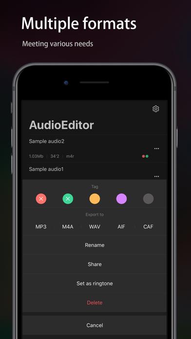 Audio Editor - Music editor