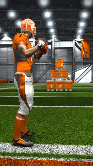 Flick Quarterback 23