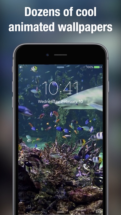 Live Wallpapers & Backgrounds+