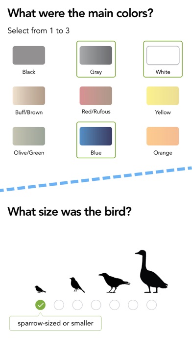 Merlin Bird ID by Cornell Lab