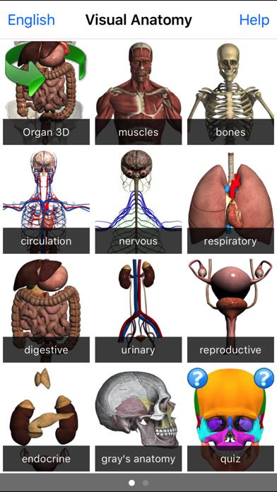 Visual Anatomy