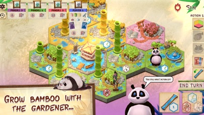 Takenoko: the Board Game