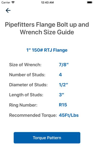 Pipefitters Flange and Bolt Up