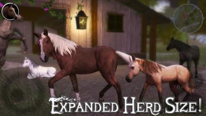 Ultimate Horse Simulator 2