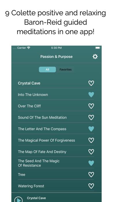 Passion & Purpose Meditations