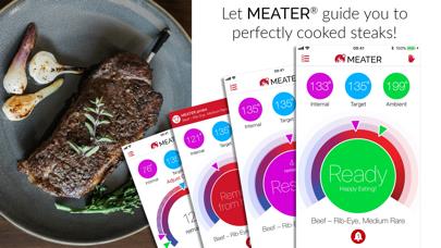 MEATER® Smart Meat Thermometer