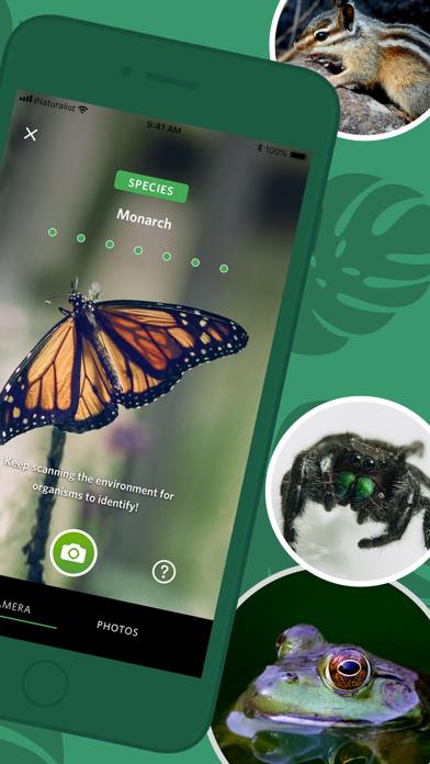 Seek by iNaturalist