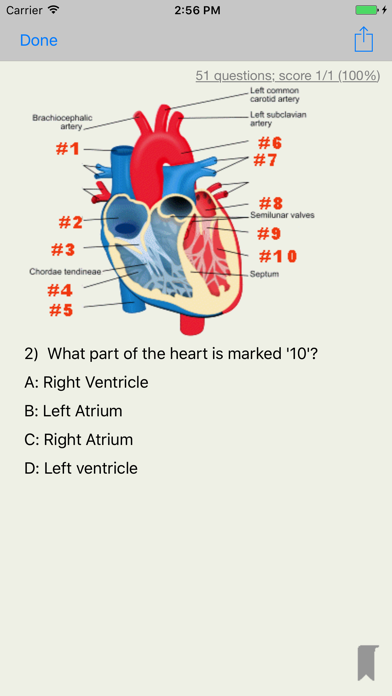 EMT Academy Exam Prep