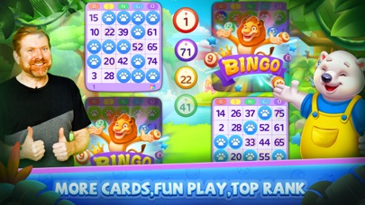 Bingo Wild - Bingo Games Story