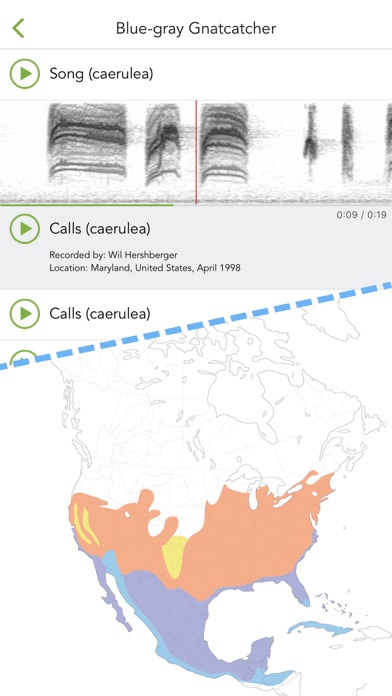 Merlin Bird ID by Cornell Lab
