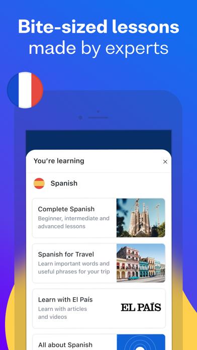 Busuu: Language Learning