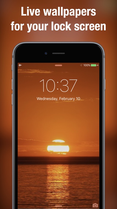 Live Wallpapers & Backgrounds+
