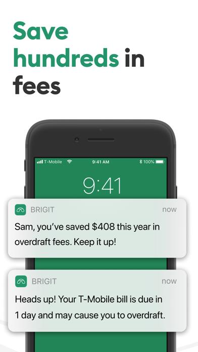 Brigit: Get $250 Cash Advance